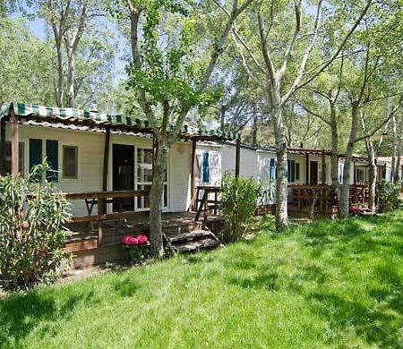 Thalatta Kalamitsi Village Camp Chalkidiki Eksteriør billede